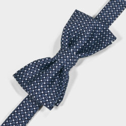 Papillon Pois 100% Seta