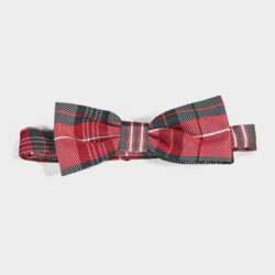 Papillon Righe 100% Seta - immagine 2