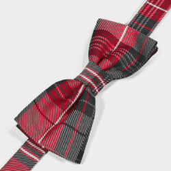 Papillon Righe 100% Seta
