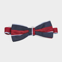 Papillon Righe 100% Seta - immagine 2