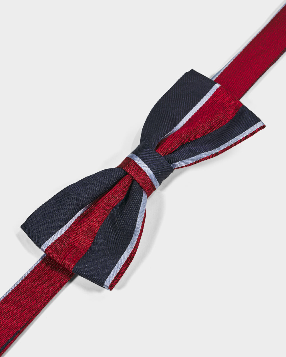 Papillon Righe 100% Seta