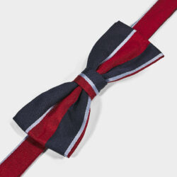 Papillon Righe 100% Seta